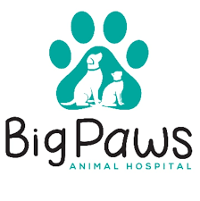 Big Paws Animal Hospital